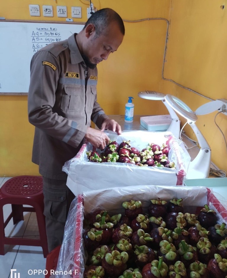 Official Indonesian Quarantine Agency Barantin Inspection